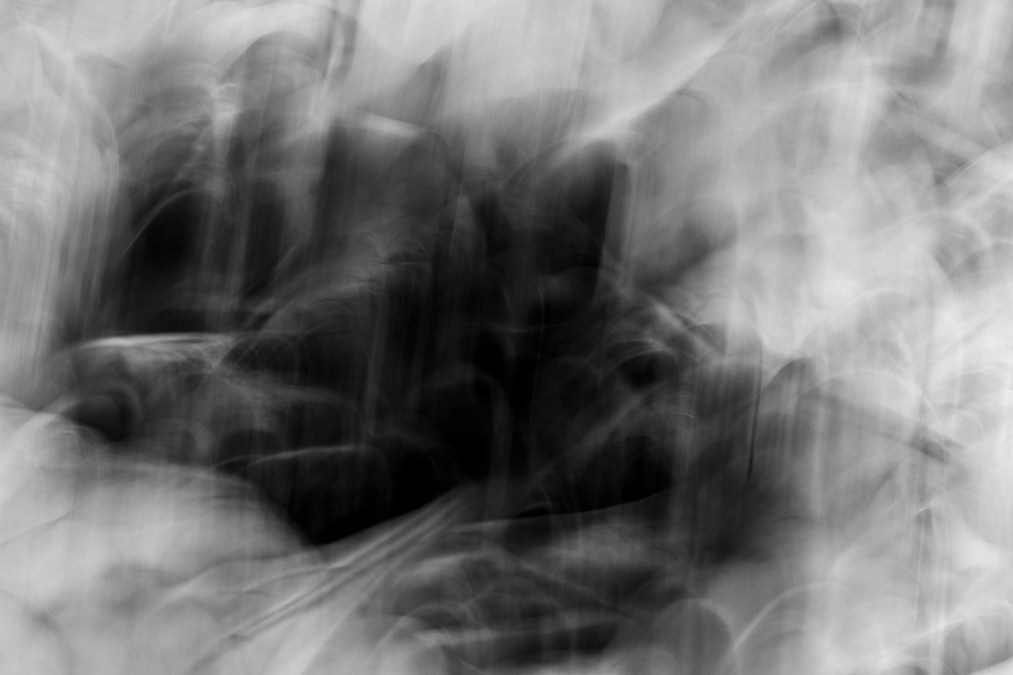 A dark mass of leaves dissolving into pale gray streaks