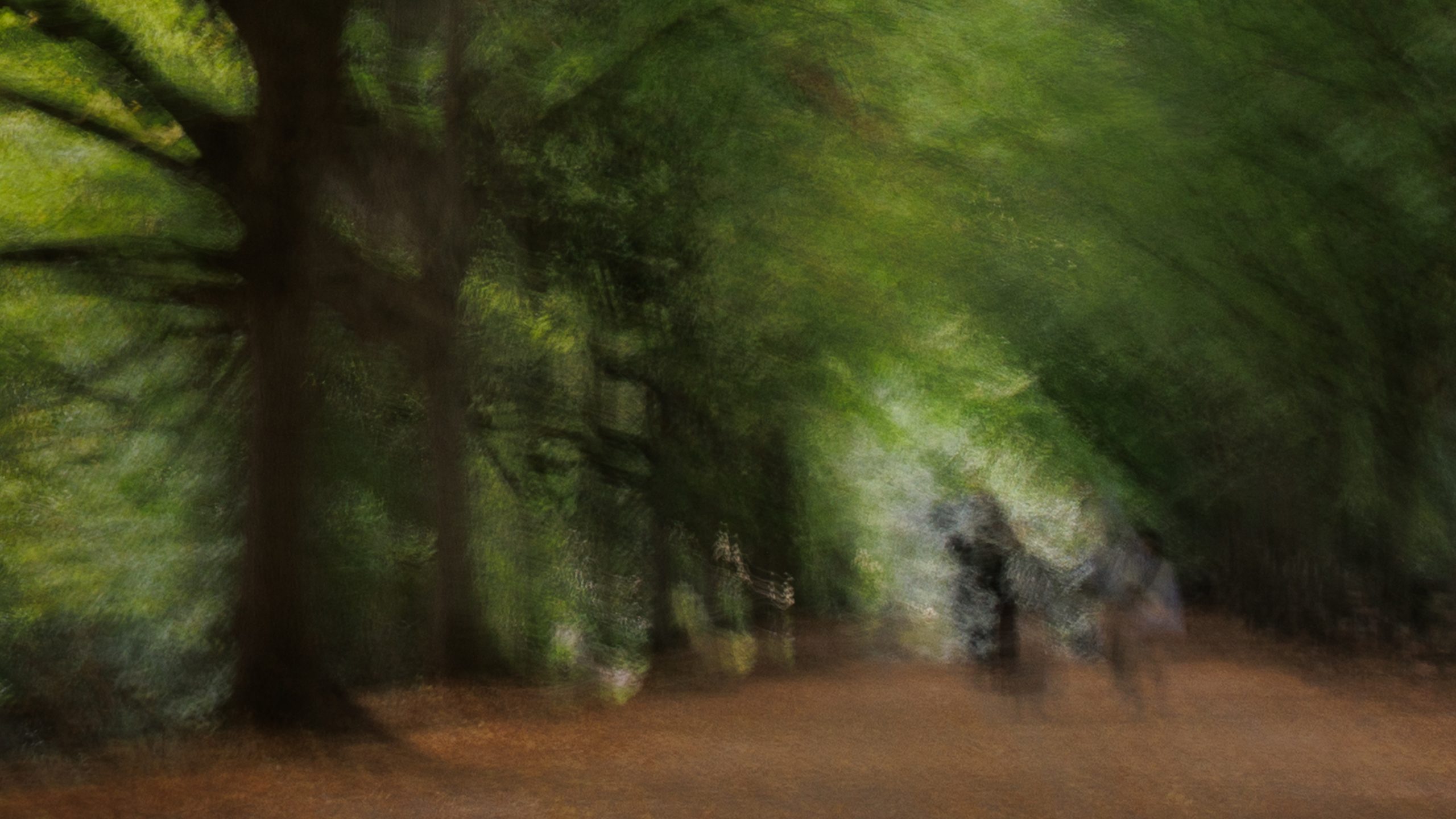 Walkers on a woodland path beneath a great tree, dissolving into green light, from Passing Through