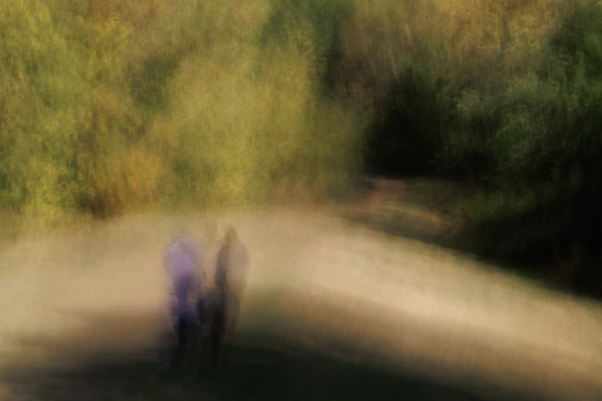 Two figures on a golden path dissolving into autumn woodland
