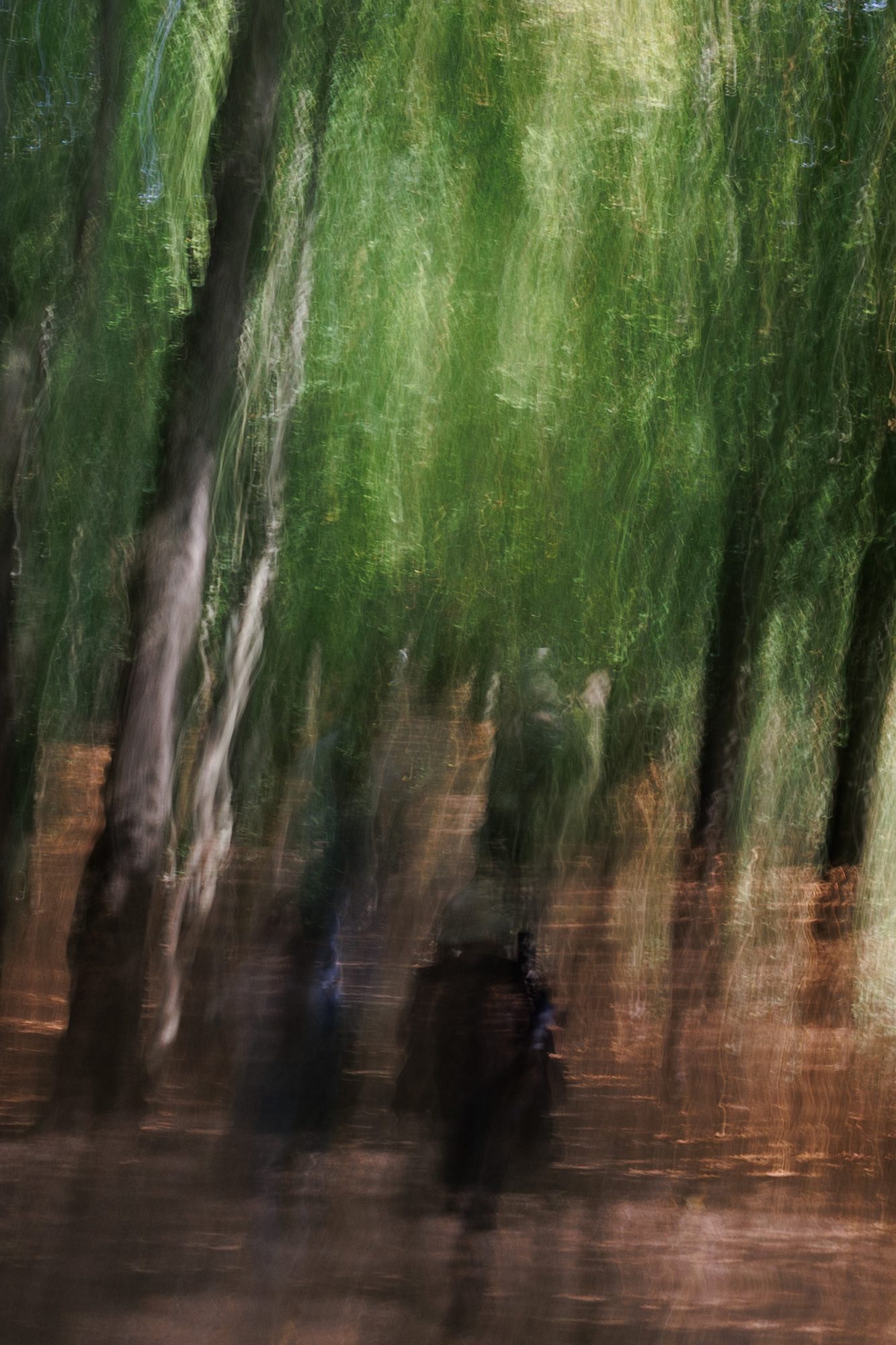 Ghostly figures among pale trunks and green light