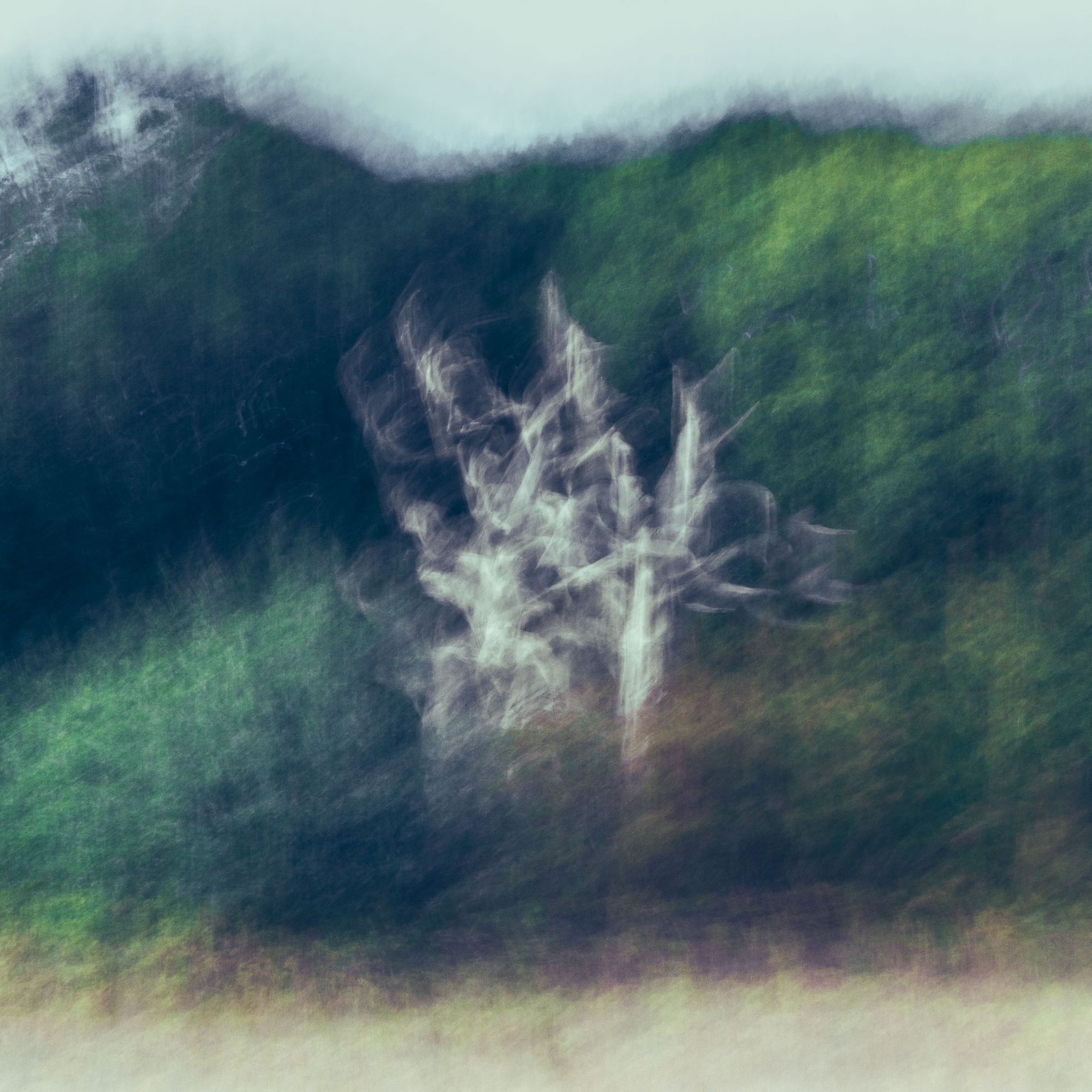 A pale, spectral tree flaring against a dark green hillside, from Reverie