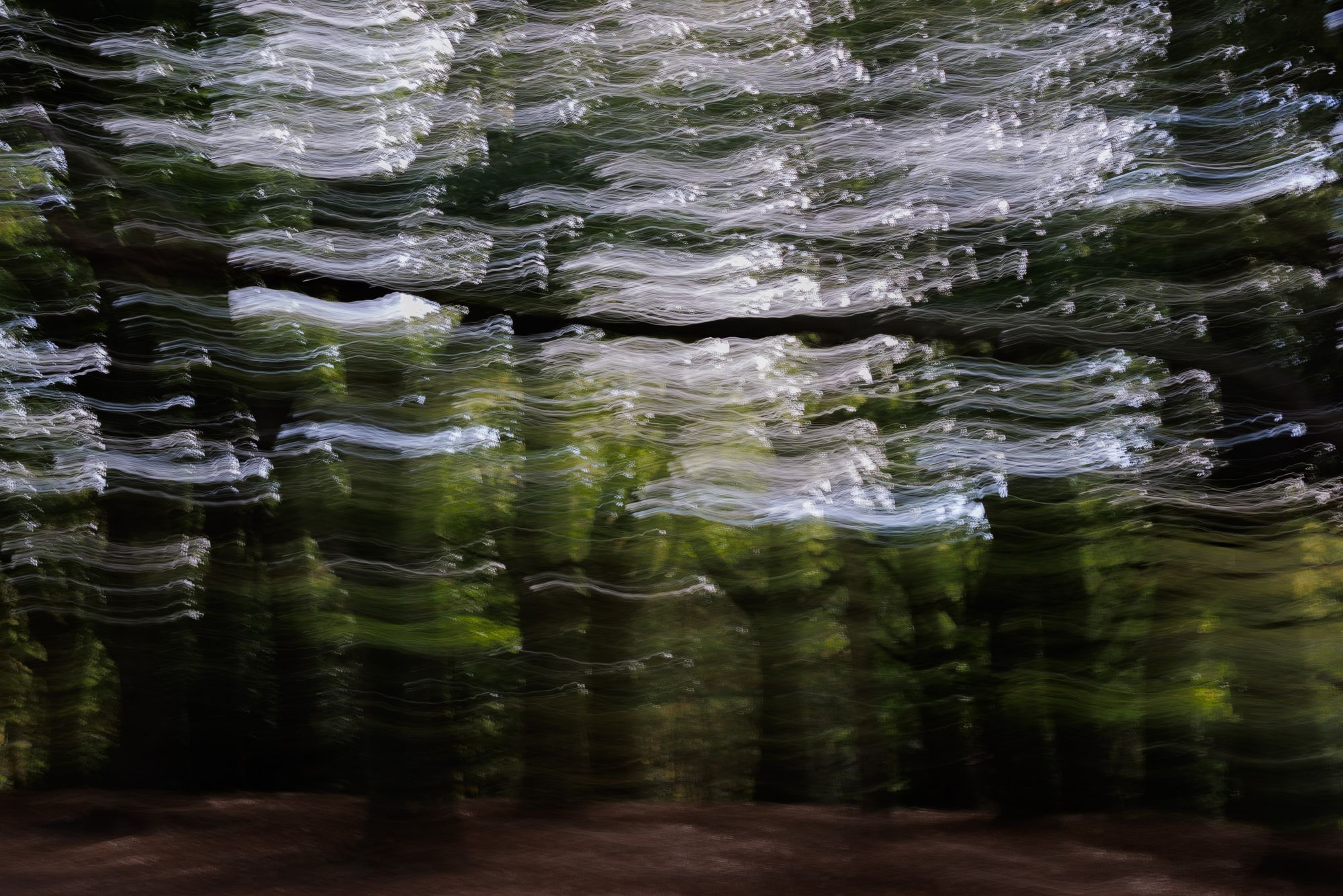 White wave-like lines drawn across a dark green wood