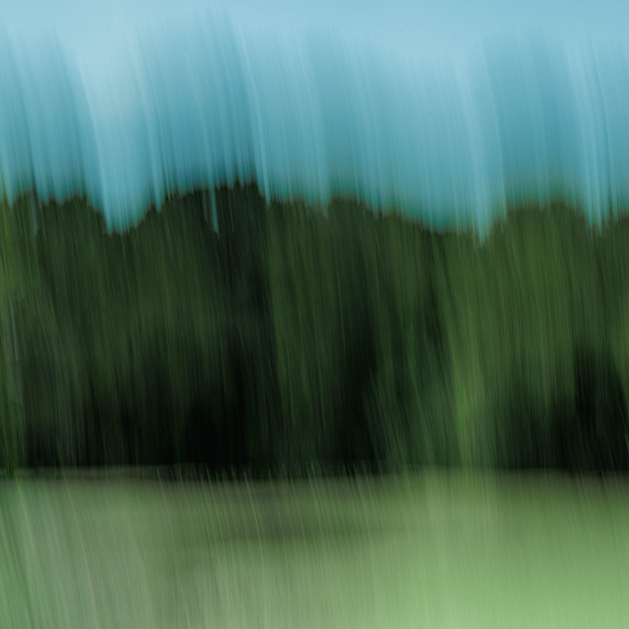 A dark treeline between turquoise sky and pale green water, pulled vertically